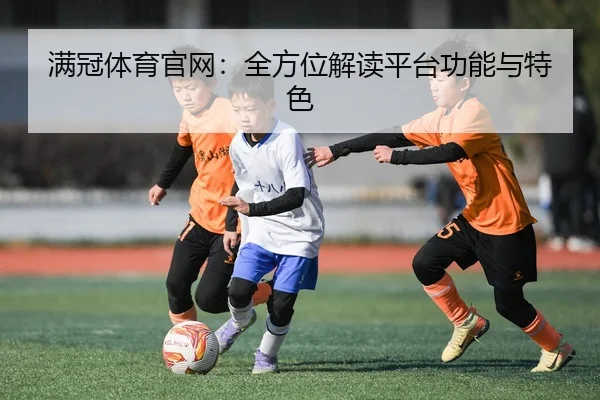满冠体育官网：全方位解读平台功能与特色
