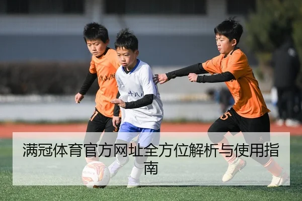 满冠体育官方网址全方位解析与使用指南