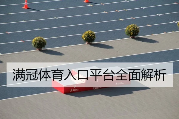 满冠体育入口平台全面解析