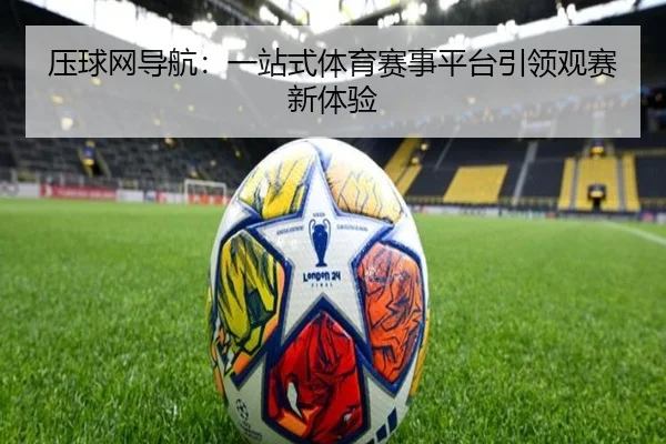 压球网导航：一站式体育赛事平台引领观赛新体验